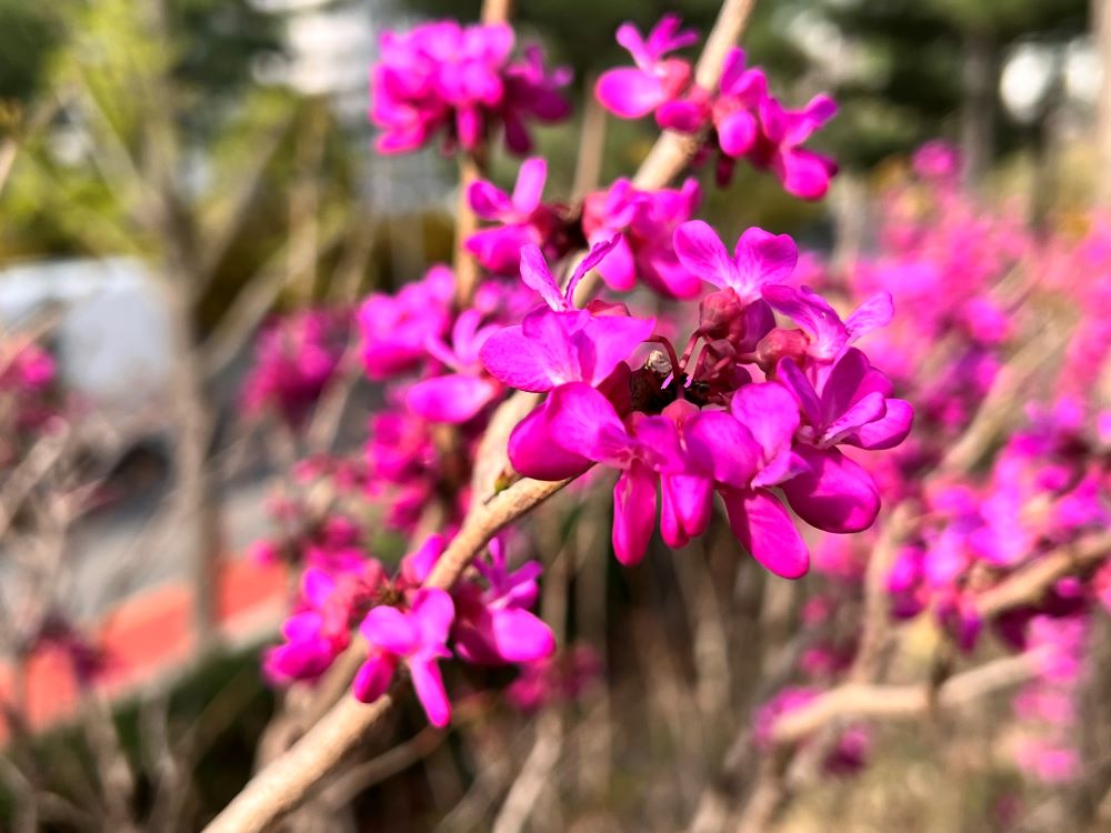 나는 무죄하니 너희가 당하라(마 27:24)