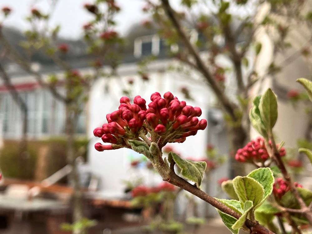 이레 동안 갇혀 있었고(민 12:15)