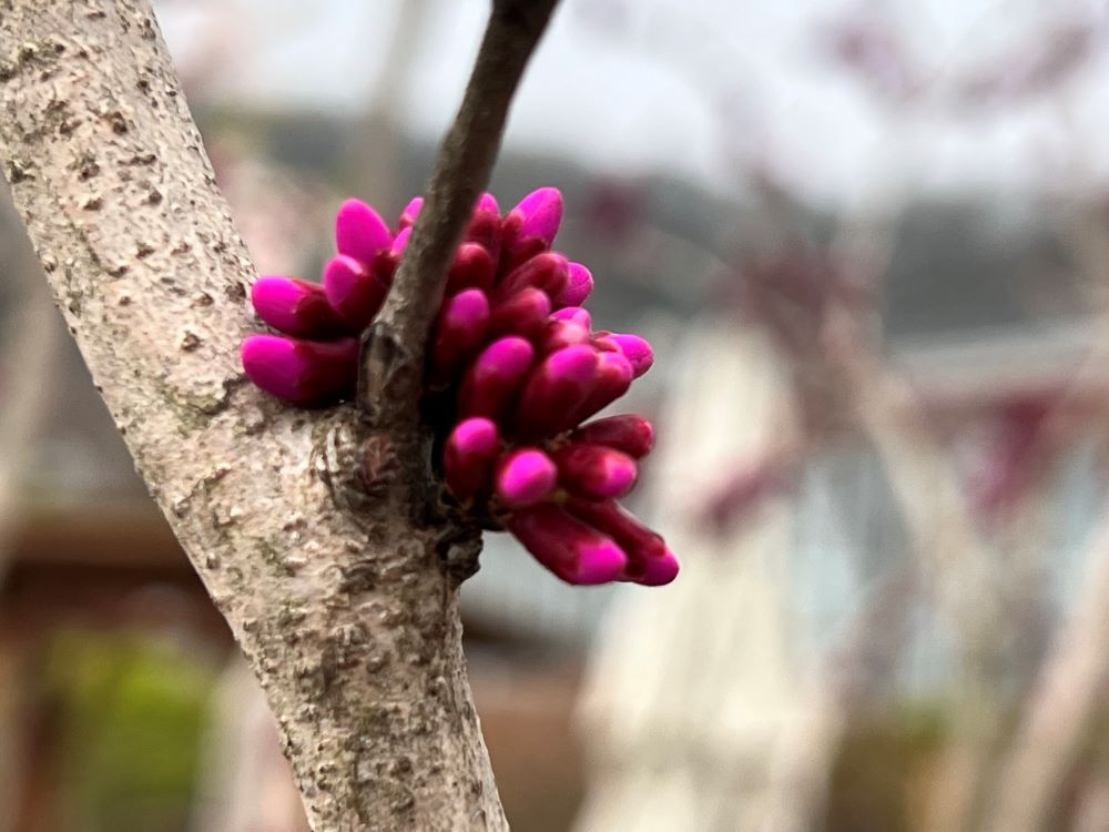 정탐하라(민 13:2)