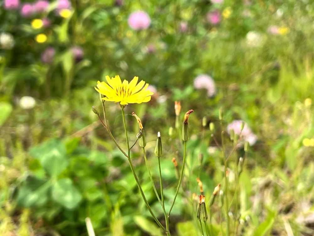 다 몰아내고 다 깨뜨리고 다 허물라(민 33:52)