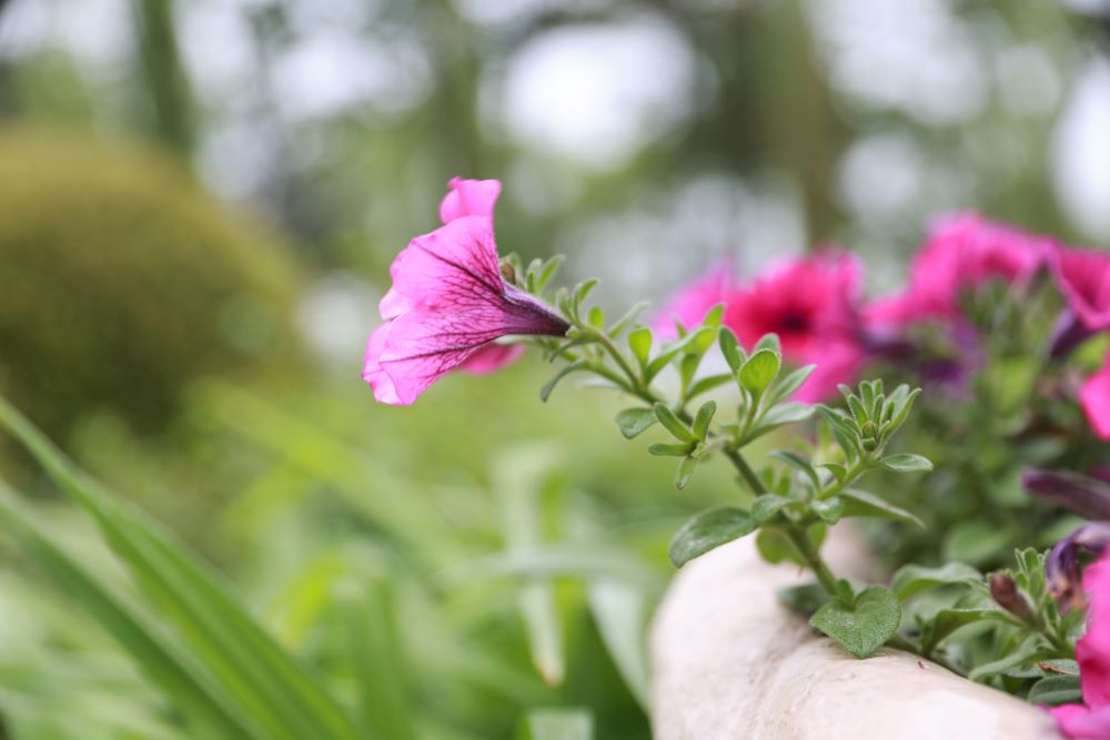 딸들의 말이 옳으니라(민 27:7)