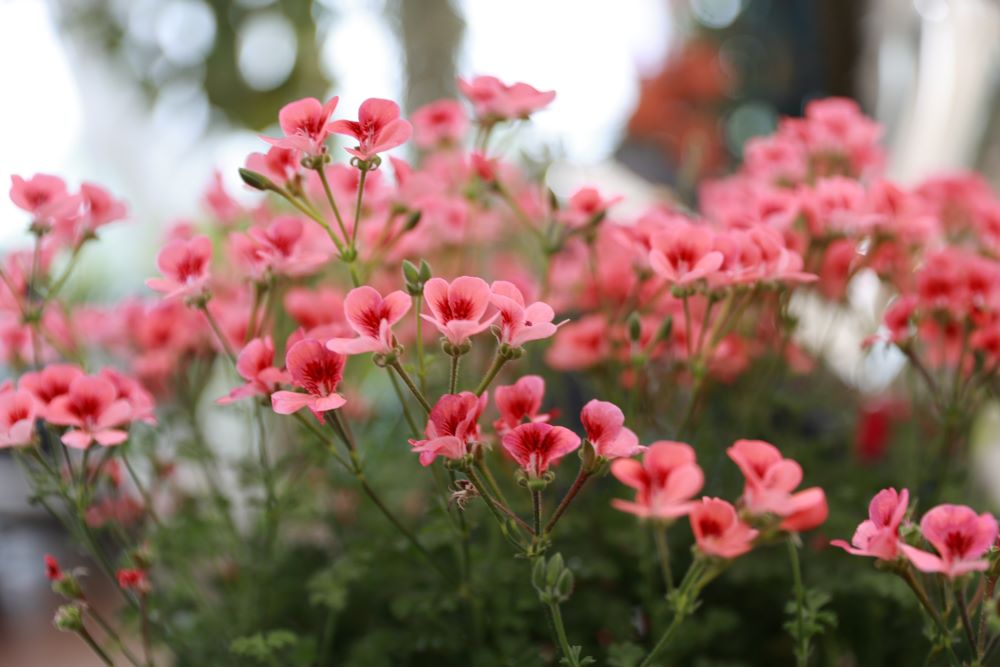 수가 많은 자와 적은 자(민 26:54)