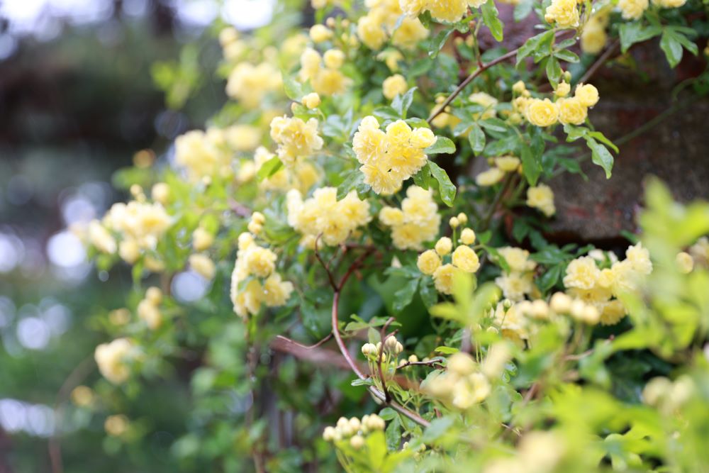 한 사람도 축나지 아니하였기로(민 31:49)