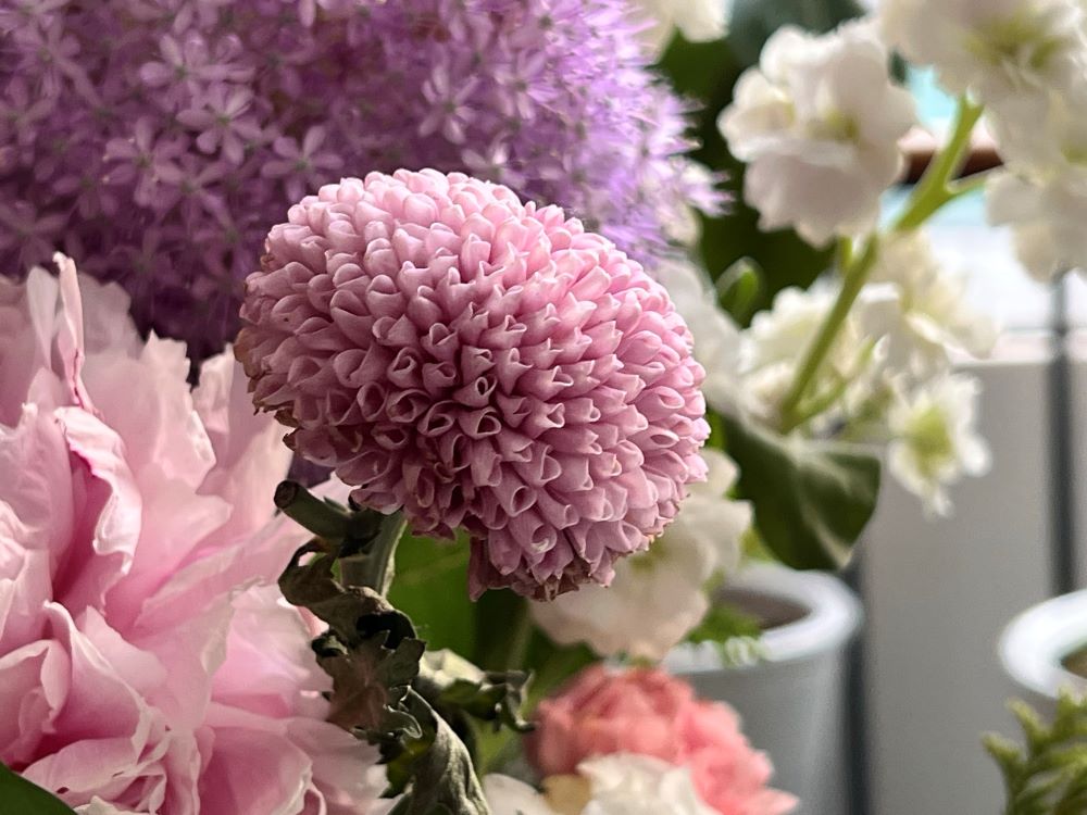 마음에 그치지 않는 고통(롬 9:1-2)