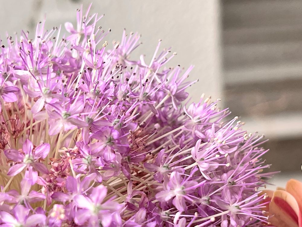 율법에 대해 죽었다는 뜻은? (롬 7:4)