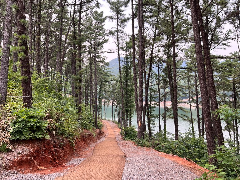 지각없는 미련한 자(렘 4:22)