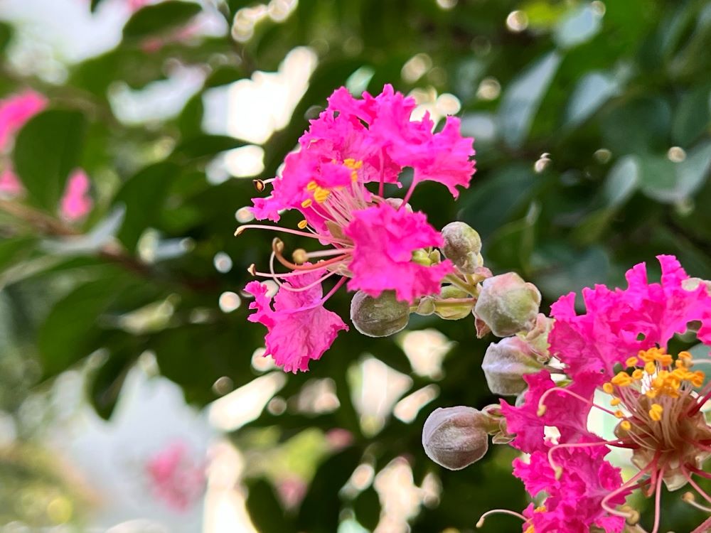 신행일치(信行一致)(렘 7:10)