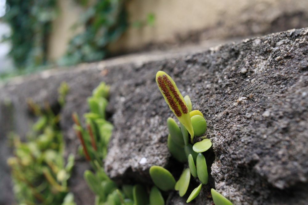 내버린 은(렘 6:30)