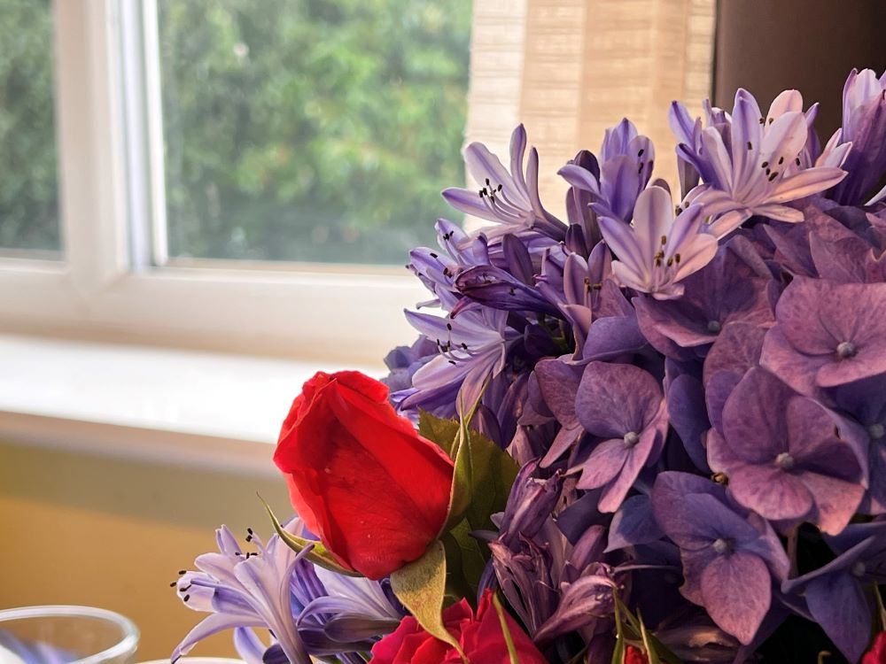 마음의 완악함(렘 16:12)