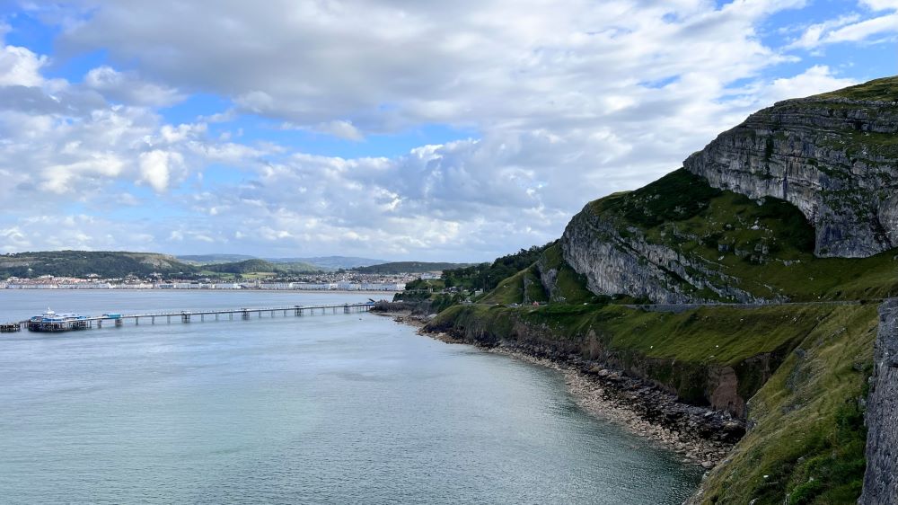 뿌리가 중요하다(렘 17:8)