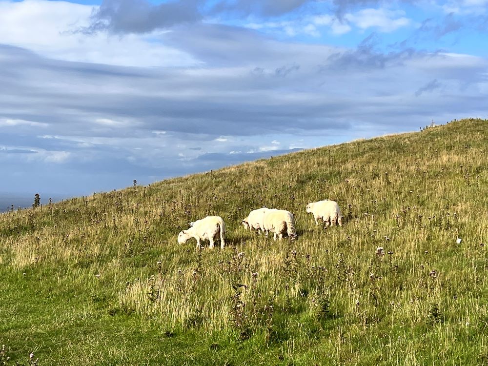 스스로 삼가라(렘 17:21)