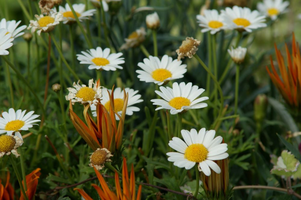 빛난 놋으로 만드니라(왕상 7:45)