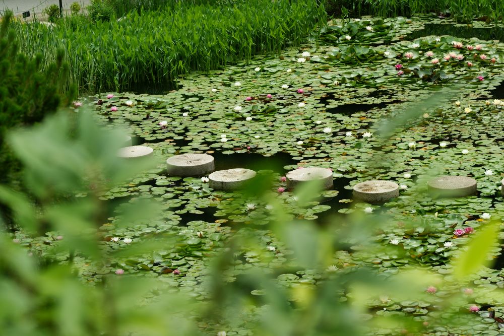해마다 세 번씩(왕상 9:25)