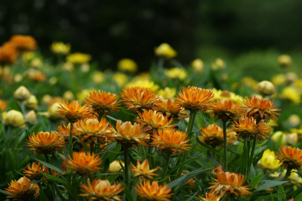 받침 수레와 물두멍(왕상 7:38)