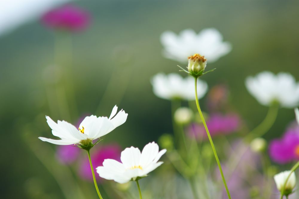 속담거리와 이야깃거리 (왕상 9:7)