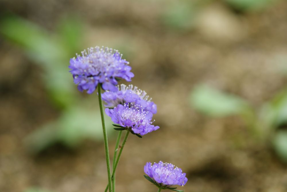 그들도(왕상 14:22-23)