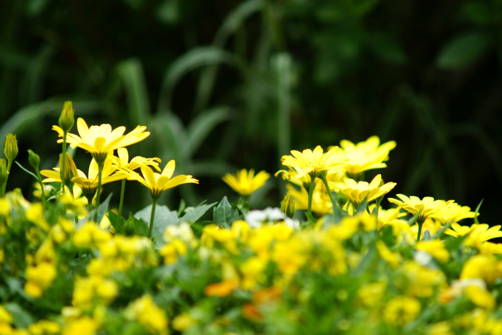 너는 나를 위해 기도하라(왕상 13:6)