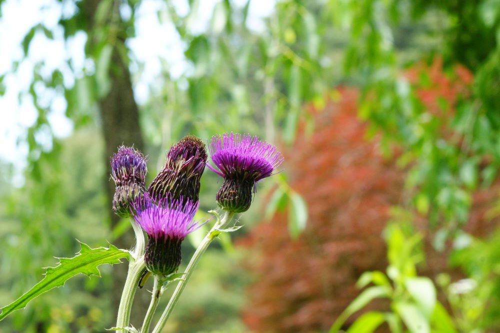 아버지가 행한 모든 죄를 행하고(왕상 15:3)