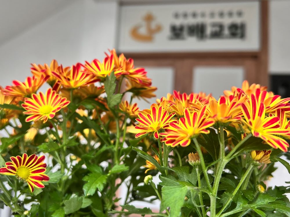 내 앞에서 겸비하므로(왕상 21:29)