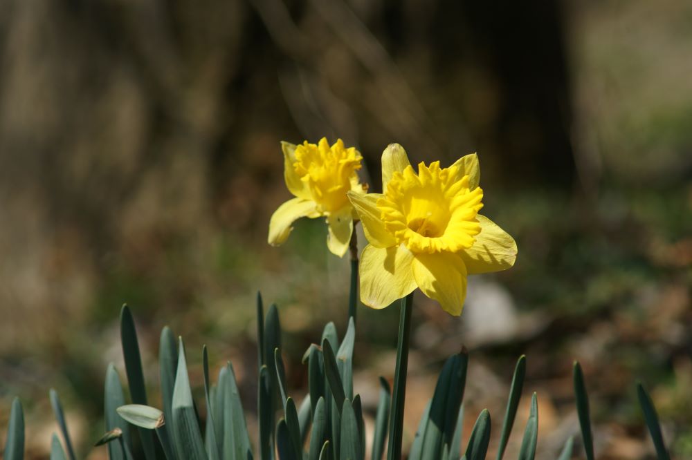 때를 정해 놓지 않으셨는가? (욥 24:1)