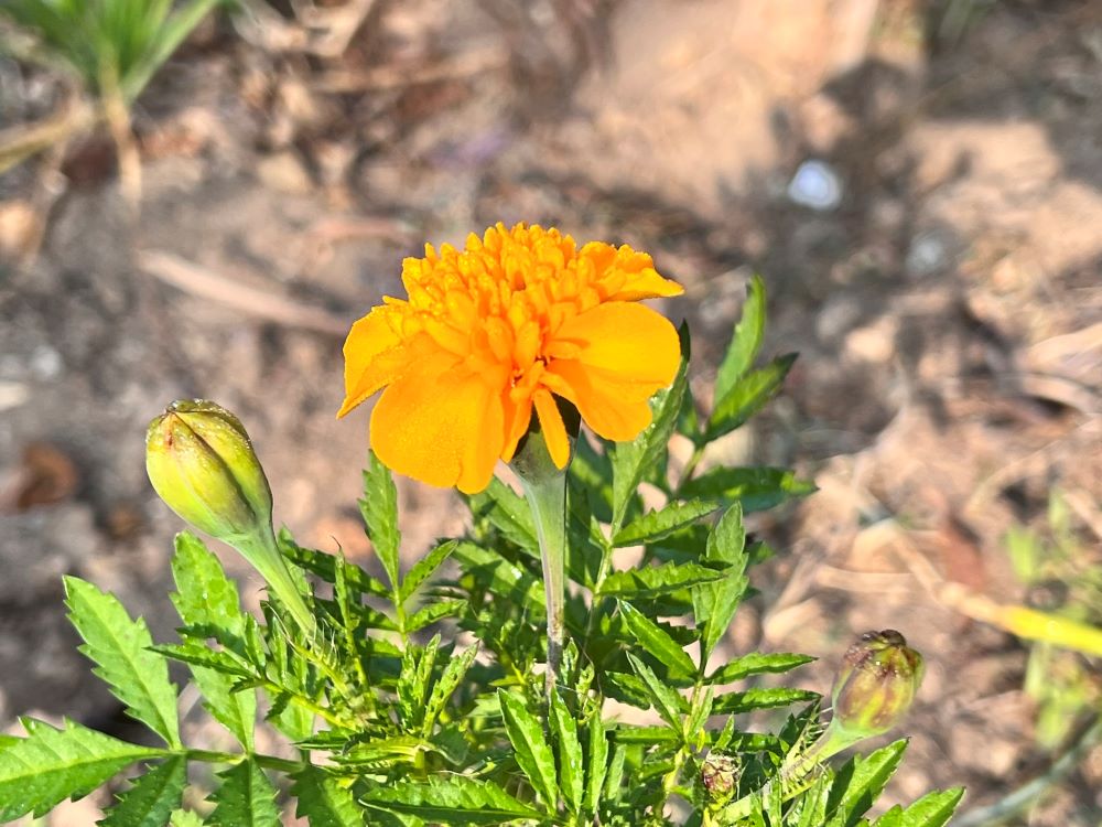 사랑이 있는가? (욥 18:2)