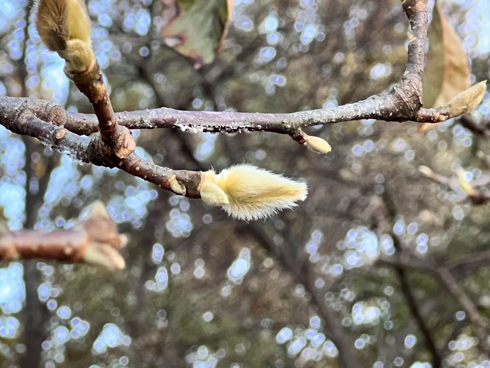 재난을 주는 위로자 (욥 16:2)