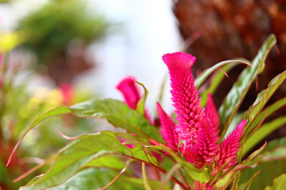 하나님이 보존하신다(시 97:10)