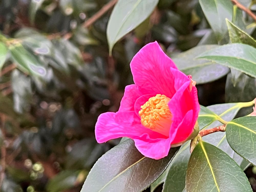 마음 지키기 (막 7:21-22)