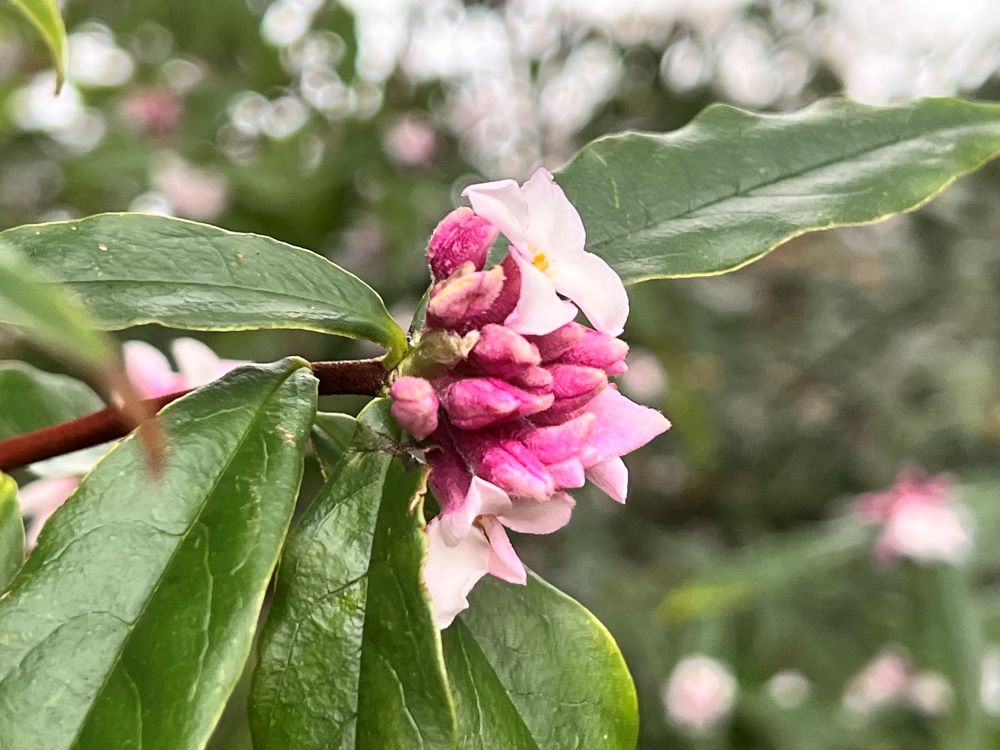 빈궁한 자의 기도를 들으신다 (시 102:17)