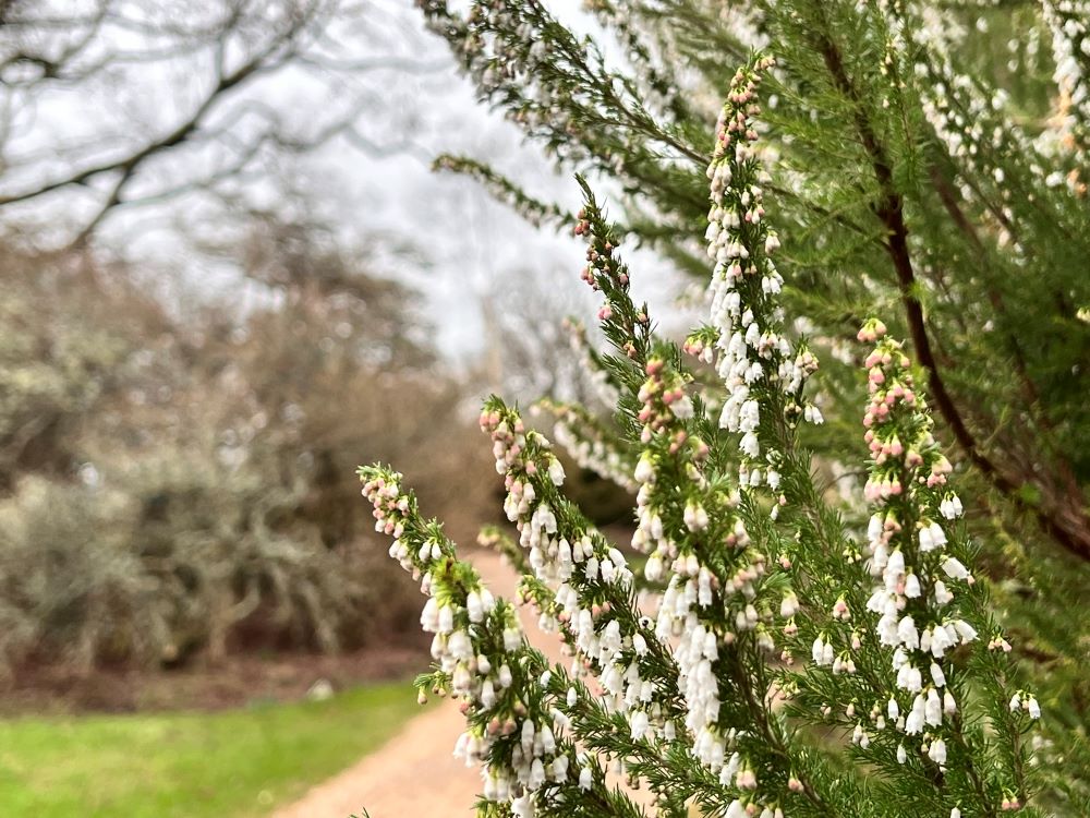 예수님의 가족(막 3:35)