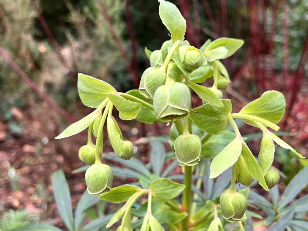 마음이 허약한 자가 있느냐(신 20:8)