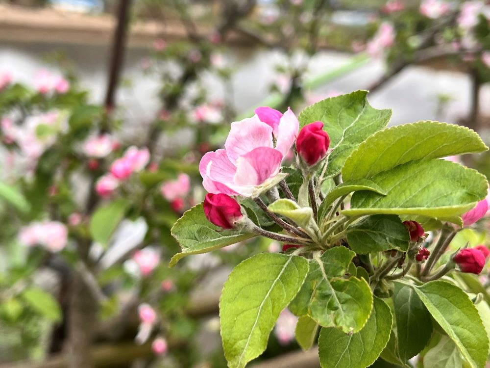 때를 따라 주시길(시 104:27)