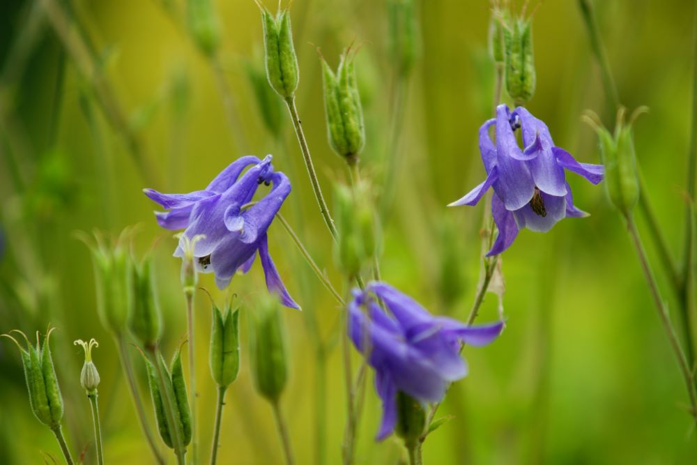 마음을 같이 하여(행 1:14)