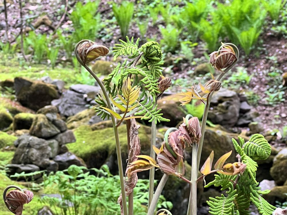 나의 재물은 내 것이 아니다 (행 4:32)