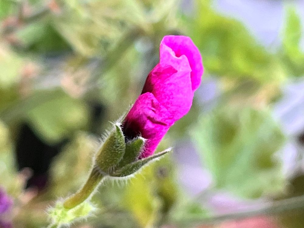 떠나고자 밤중까지(행 20:7)