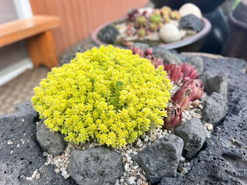 너희는 누구냐?(행 19:15)