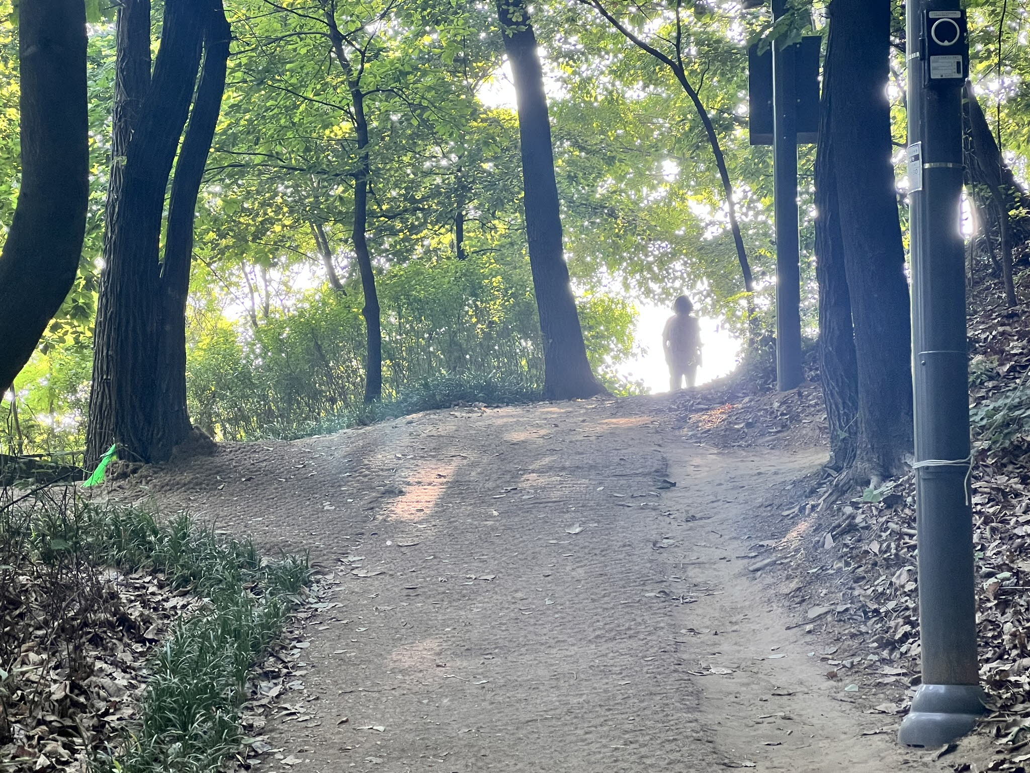 우리를 위하여 기도하라(렘 37:3)