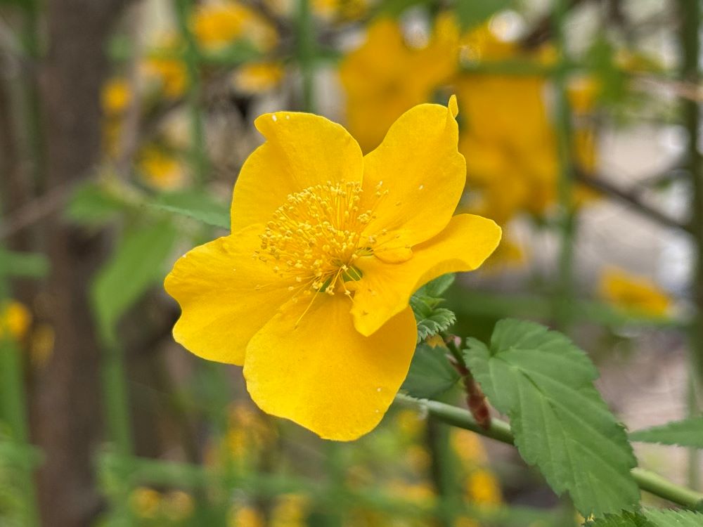 눈이 밝아져(눅 24:31)