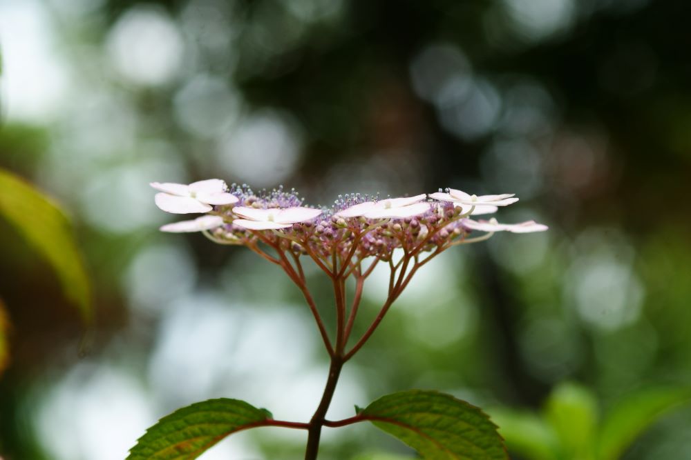 하나님께로 돌아오라(슥 9:7)