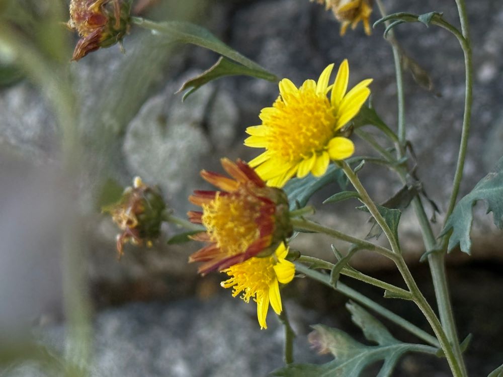 지명 받은 이들이었더라(스 8:20)