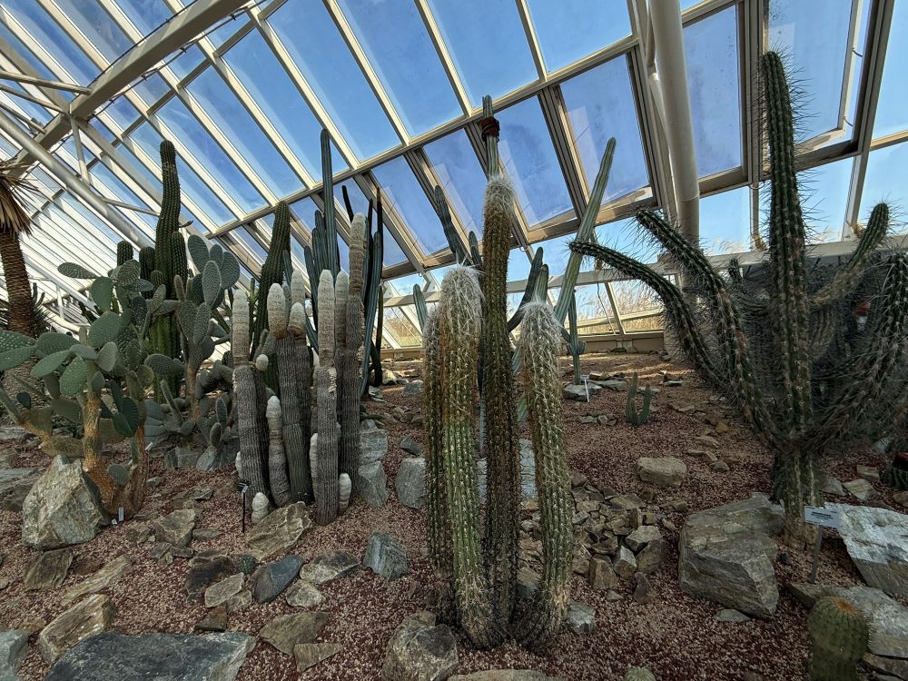 여호와의 손(스 7:28)