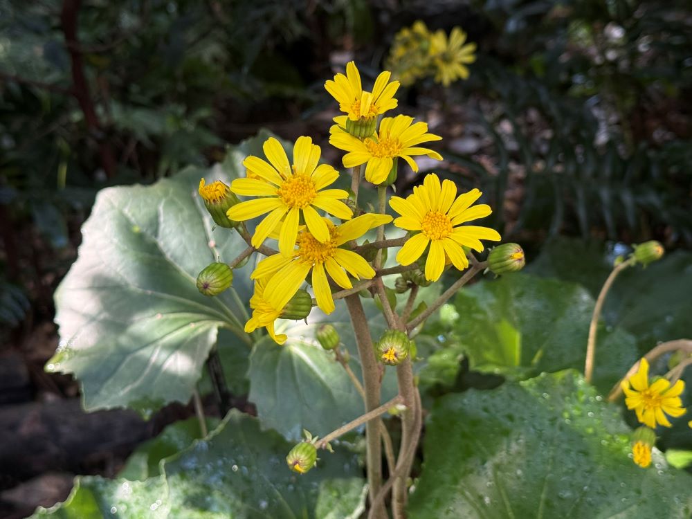 거룩한 처소에 박힌 못(스 9:8)