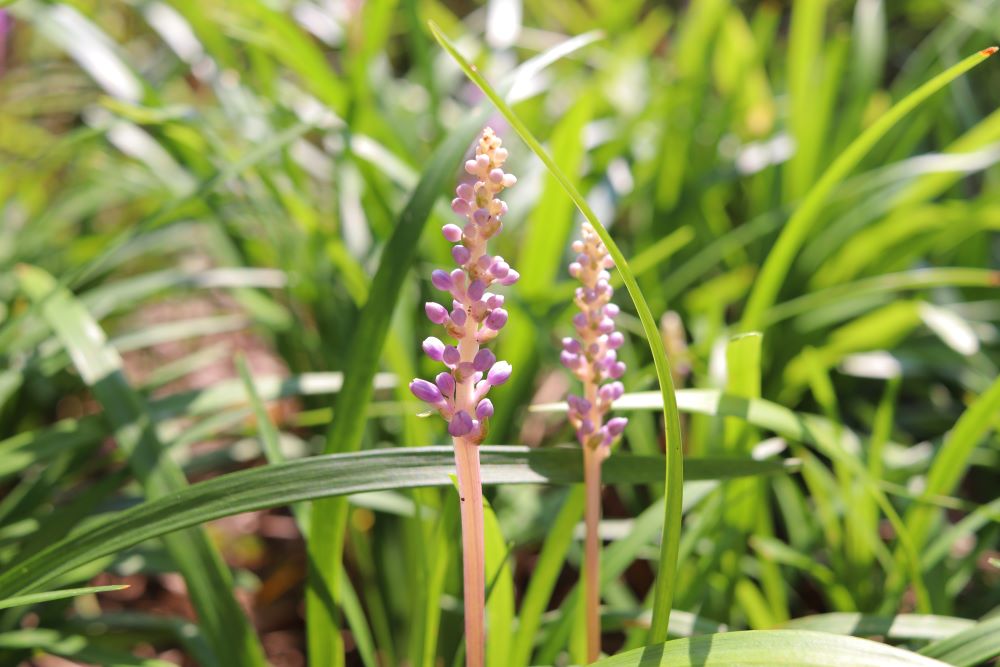 영원한 유산(스 9:12)