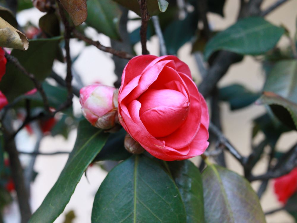 너희 소행이 좋지 못하도다(느 5:9)