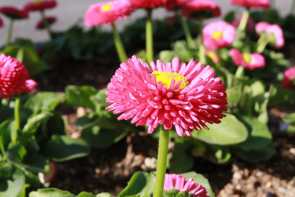 다 깨닫게 하니(느 8:8)