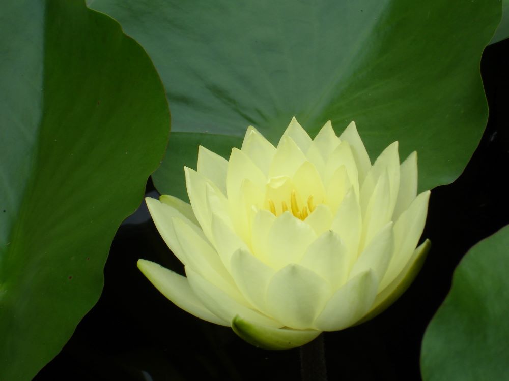 그 방을 정결하게 하고(느 13:9)