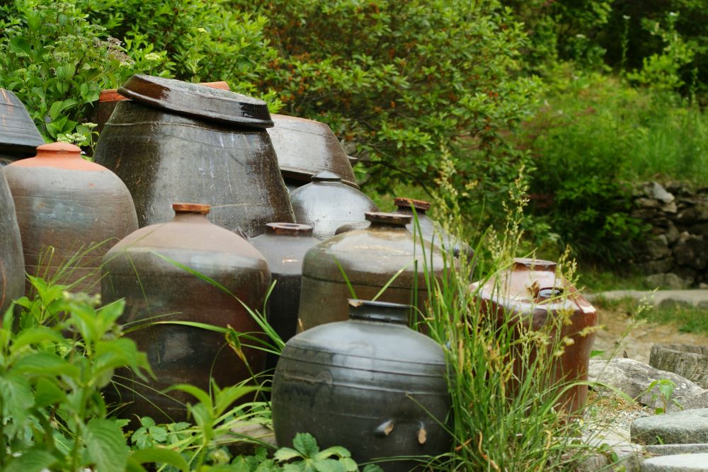 저주로 맹세하기를(느 10:29)