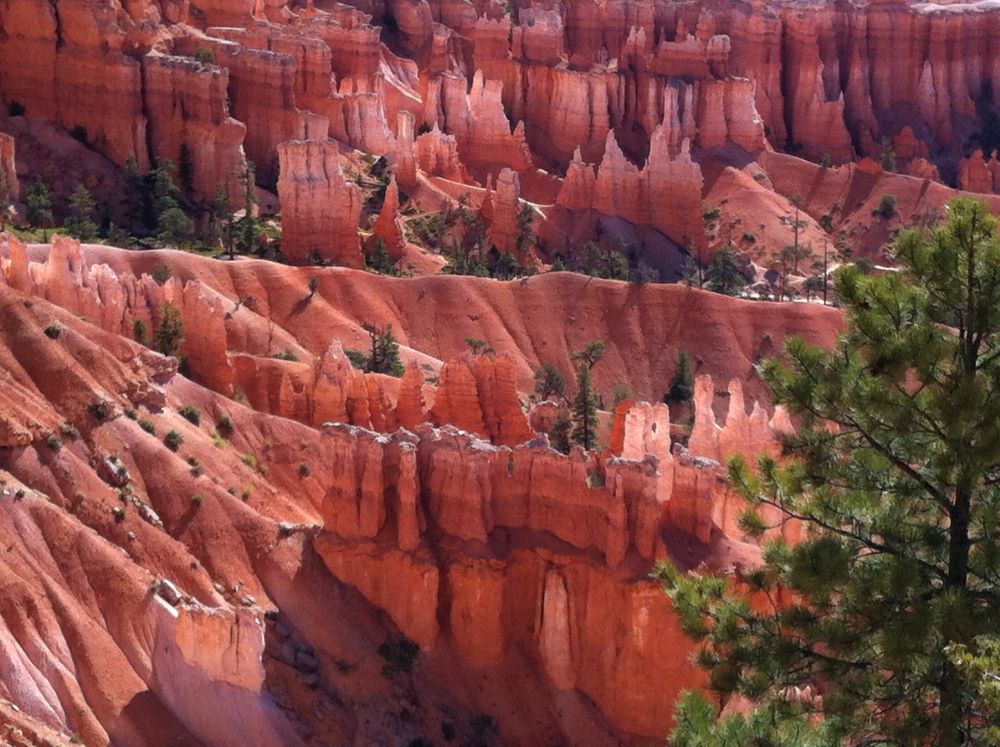 가까이하시는 하나님(시 145:18)