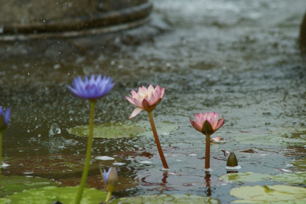 우리 이름을 내자(창 11:4)