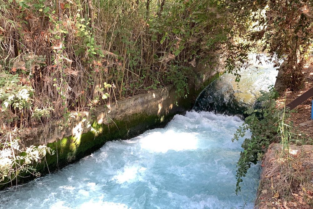 눈을 밝히셨으므로(창 21:19)